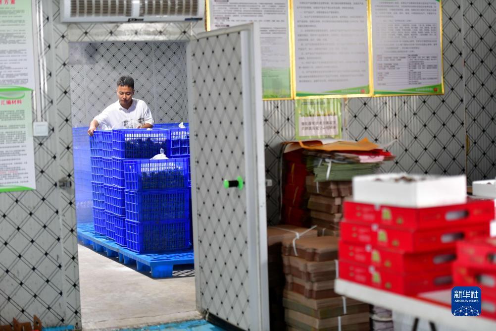 奔驰宝马电玩城下载